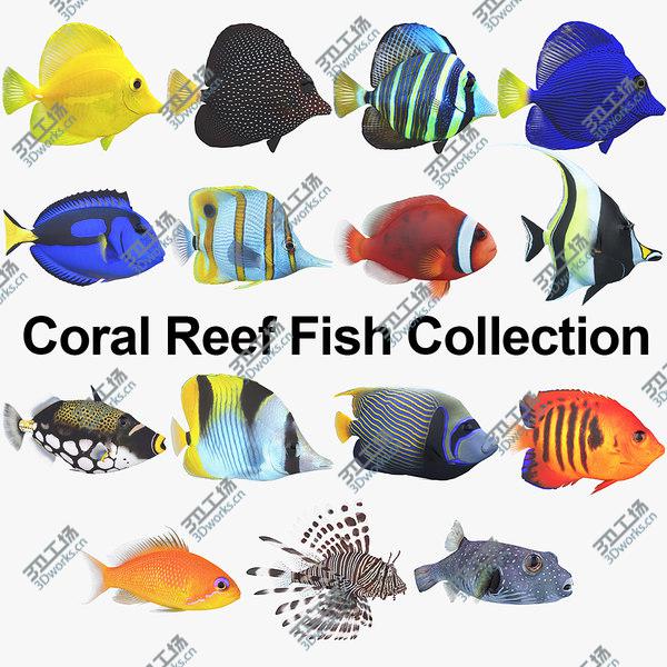 images/goods_img/20210312/Coral Reef Fish Collection 3D model/1.jpg